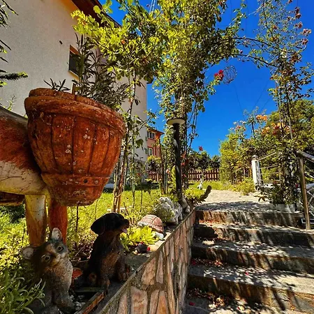 димитрови Dimitrovi *