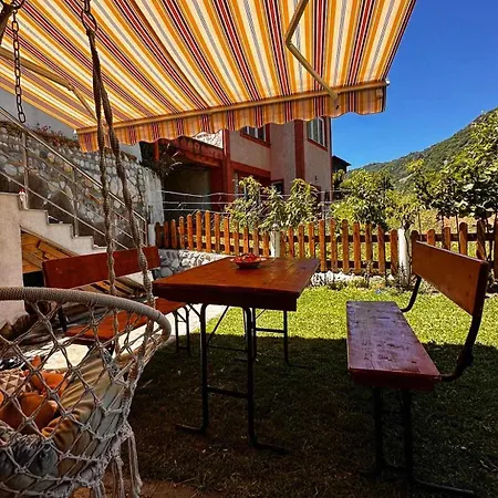 димитрови Dimitrovi