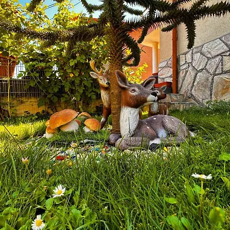 димитрови Dimitrovi Vakantiehuis Devin