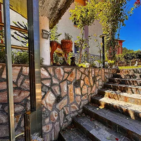 димитрови Dimitrovi