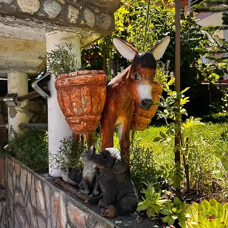 димитрови Dimitrovi *