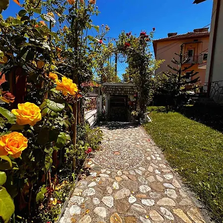 димитрови Dimitrovi