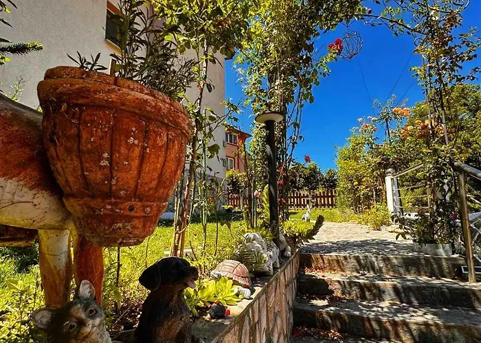 димитрови Dimitrovi *