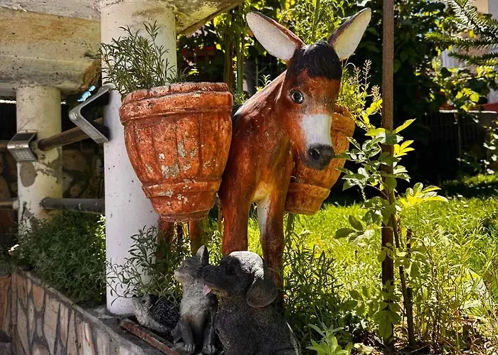 димитрови Dimitrovi *