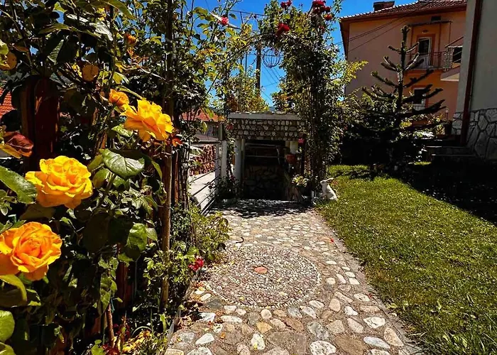 димитрови Dimitrovi